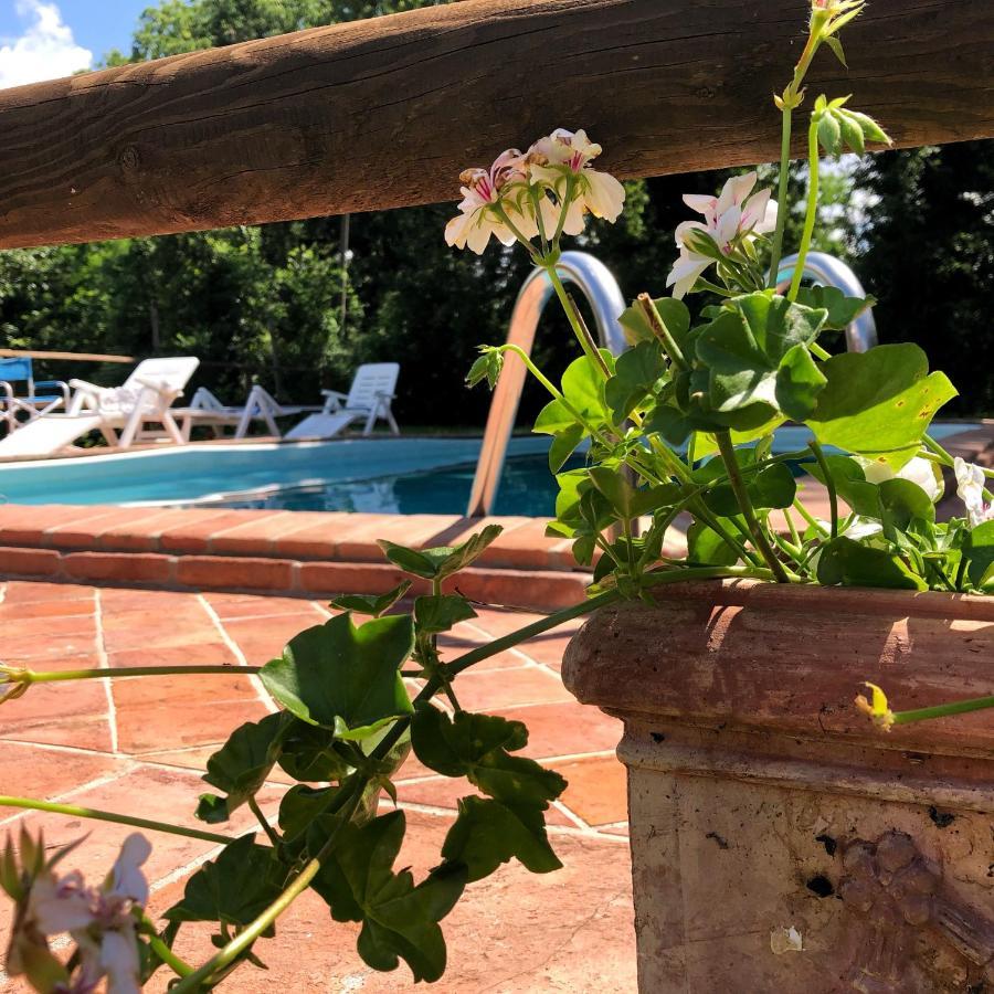 Villa Magda Todi Eksteriør bilde
